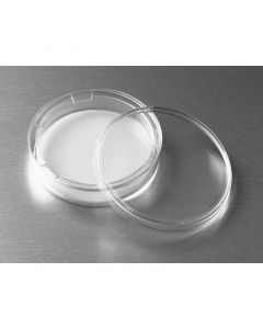 Corning 75 mm Transwell® with 04 µm Pore Polycarbonate Membrane
