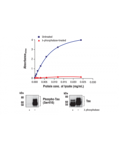 Cell Signaling Fastscan Phospho-Tau (Ser416) Elisa Kit