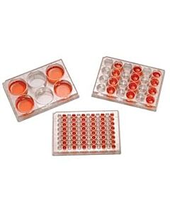 Antylia ArgosCell and Tissue Culture Plates with Lid, Sterile, Polystyrene, Treated, 6-Well; 100/CS
