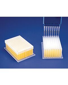 Bel-Art Deep-Well Plate; 96 Places, 2ml, Plastic, 5 X 3⅜ X 1⅝ In. (Pack Of 24)