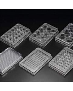 Biologix Cell Culture Plate, Ps, 6 Well, 85.4x127.6mm, Flat Bottom, Tc Treated, Sterile. Individually Wrapped