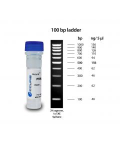 Benchmark Scientific Accuris Smartcheck 100bp DNA Ladder, 0.1 mg/mL