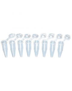 Brandtech Pcr 8-Tube Strips Windiv Attached Caps, Clear, Bag Of 120 (120 Bg120)
