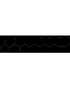 Cayman N-Cis-Octadec-9z-Enoyl-L-Homoserine Lactone; Purity- Great