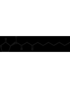 Cayman N-3-Oxo-Decanoyl-L-Homoserine Lactone