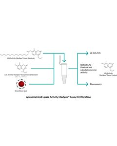 Cayman Lysosomal Acid Lipase Activity Maxspecв Assay Kit; Size- 1