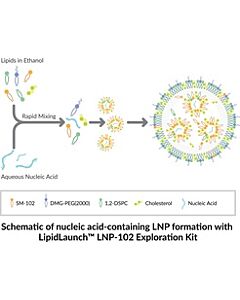 Cayman Lipid Nanoparticle (Lnp-102) Exploration Kit, 1ea
