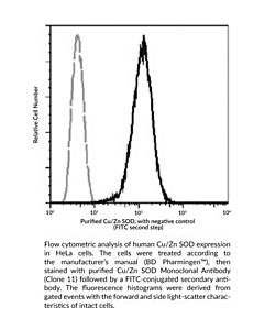 Cayman Cu/Zn Sod Monoclonal Antibody; 100 Μl;