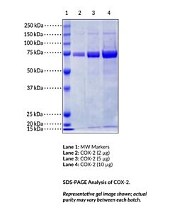 Cayman Adhp Assay Reagent; Size- 150 Micrograms