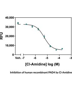 Cayman Pad4 Inhibitor Screening Assay Kit (Ammonia); Size- 96 Wel