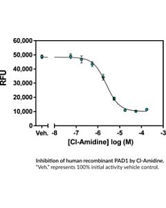 Cayman Pad1 Inhibitor Screening Assay Kit (Ammonia); Size- 96 Wel