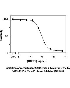 Cayman Sars-Cov-2 Main Protease Inhibitor Screening Assay Kit; Qt