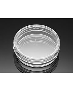 Corning Falcon 35 mm Not TC-treated Easy-Grip Style Bacteriological Petri Dish, 20/Pack, 500/Case, Sterile
