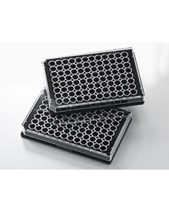 Corning Falcon 96-well Black Flat Bottom TC-treated Microplate, with Lid, Sterile, 8/Pack, 32/Case