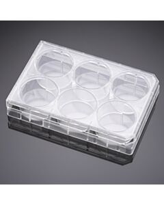 Corning Falcon 6-well TC-treated Polystyrene Permeable Support Companion Plate, with Lid, Sterile, 1/Pack, 50/Case