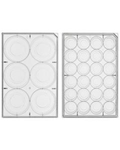 Chemglass Life Sciences Cell Culture Plate, 24-Well,