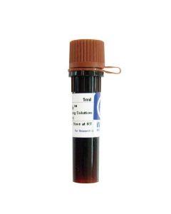 Chemglass Life Sciences Staining Solution, 1ml,