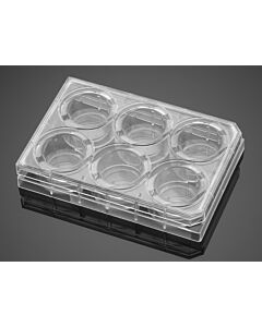 Corning PureCoat™ 6-well Carboxyl Plate, 5/Case