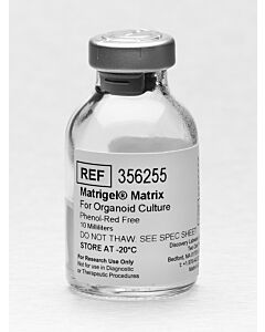 Corning Matrigel® Matrix for Organoid Culture, Phenol Red-free, LDEV-free, 10 mL