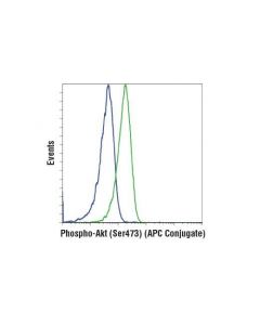 Cell Signaling Phospho-Akt (Ser473) (D9e) Xp Rabbit mAb (Apc Conjugate)