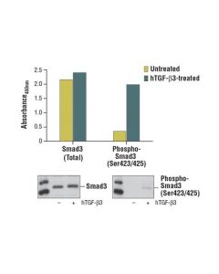 Cell Signaling Pathscan Phospho-Smad3 (Ser423/425) Sandwich Elisa Kit