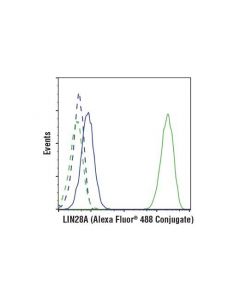 Cell Signaling Lin28a (D1a1a) Xp Rabbit mAb (Alexa Fluor 488 Conjugate)