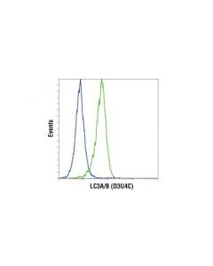 Cell Signaling Lc3a/B (D3u4c) Xp Rabbit mAb