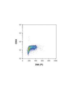 Cell Signaling Cdk4 (D9g3e) Rabbit mAb
