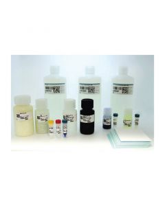 Cell Signaling Western Blotting Application Solutions Kit