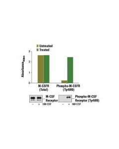 Cell Signaling Pathscan  Total Csf-1r/M-Csf-R Sandwich Elisa Kit