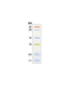 Cell Signaling Color-Coded Prestained Protein Marker, Low Range (1.7-42 Kda)