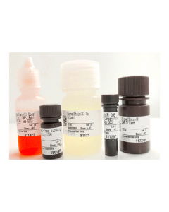 Cell Signaling Immunohistochemistry Application Solutions Kit (Rabbit)
