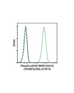 Cell Signaling Phospho-P44/42 Mapk (Erk1/2) (Thr202/Tyr204) (197g2) Rabbit mAb (Alexa Fluor  488 Conjugate)