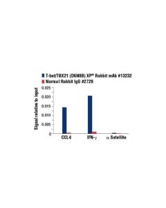 Cell Signaling T-Bet/Tbx21 (D6n8b) Xp Rabbit mAb