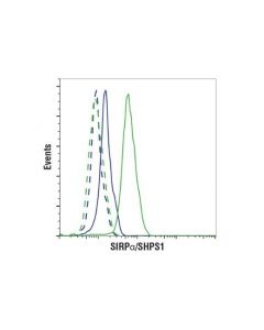 Cell Signaling Sirpalpha/Shps1 (D6i3m) Rabbit mAb