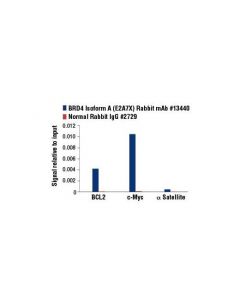 Cell Signaling Brd4 (E2a7x) Rabbit mAb