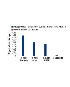 Cell Signaling Phospho-Rpb1 Ctd (Ser5) (D9n5i) Rabbit mAb