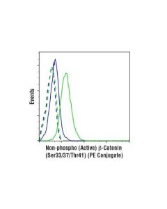 Cell Signaling Non-Phospho (Active) Beta-Catenin (Ser33/37/Thr41) (D13a1) Rabbit mAb (Pe Conjugate)
