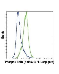Cell Signaling Phospho-Relb (Ser552) (D41b9) Xp  Rabbit mAb (Pe Conjugate)