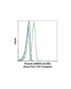Cell Signaling Phospho-P90rsk (Ser380) (D5d8) Rabbit mAb (Alexa Fluor 647 Conjugate)