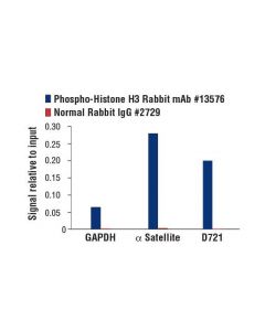 Cell Signaling Phospho-Histone H3 (Thr3) (D5g1i) Rabbit mAb