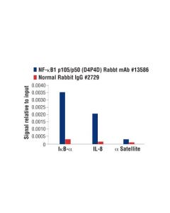 Cell Signaling Nf-Kappab1 P105/P50 (D4p4d) Rabbit mAb