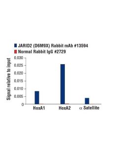 Cell Signaling Jarid2 (D6m9x) Rabbit mAb