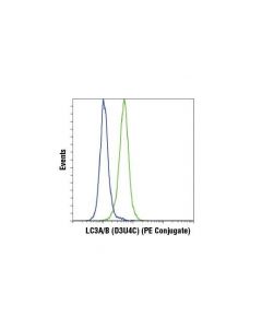 Cell Signaling Lc3a/B (D3u4c) Xp  Rabbit mAb (Pe Conjugate)