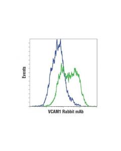 Cell Signaling Vcam-1 (E1e8x) Rabbit mAb