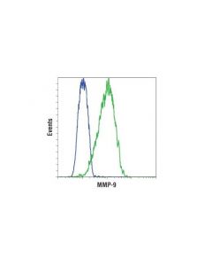 Cell Signaling Mmp-9 (D6o3h) Xp<Lt/>Sup&Gt;®<Lt/>/Sup&Gt; Rabbit mAb