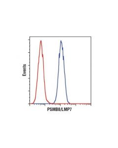 Cell Signaling Psmb8/Lmp7 (1a5) Mouse mAb