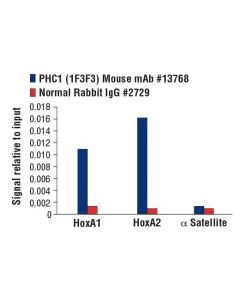 Cell Signaling Phc1 (1f3f3) Mouse mAb