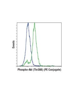 Cell Signaling Phospho-Akt (Thr308) (D25e6) Xp Rabbit mAb (Pe Conjugate)
