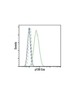 Cell Signaling P130 Cas (E1l9h) Rabbit M